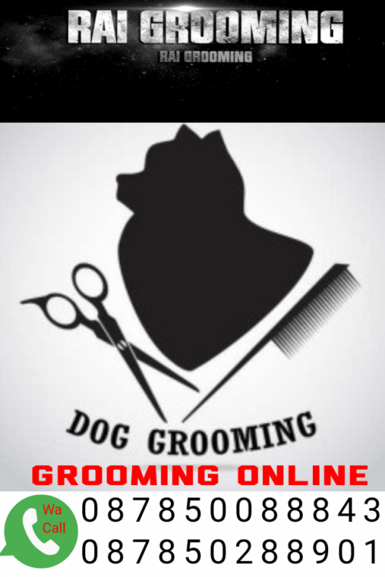 RAI GROOMING PET